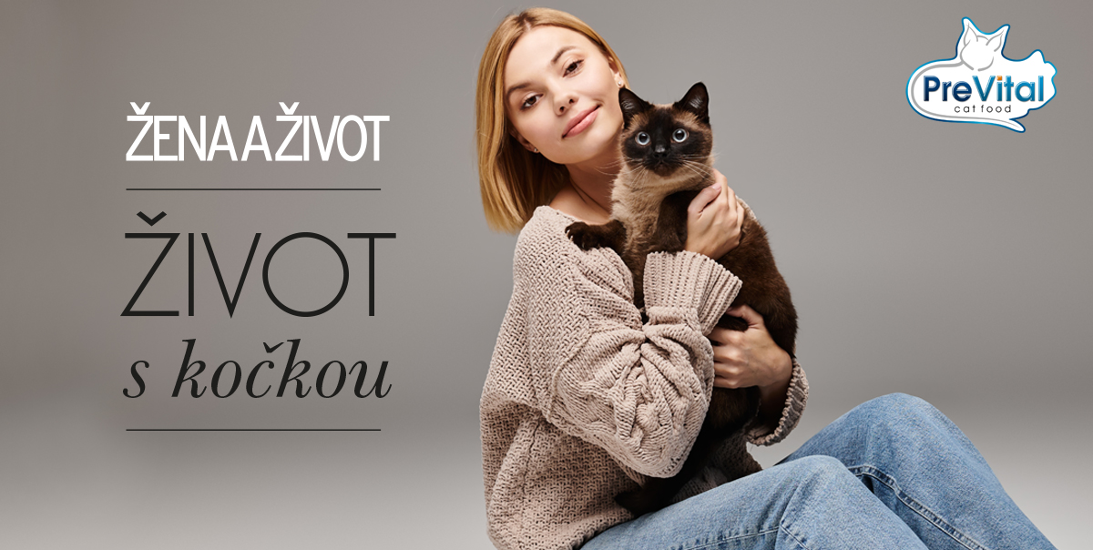 Život s kočkou